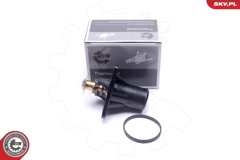 Thermostat, coolant